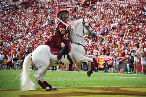 Traveler: The Beautiful Horse That Represents USC's Legacy
